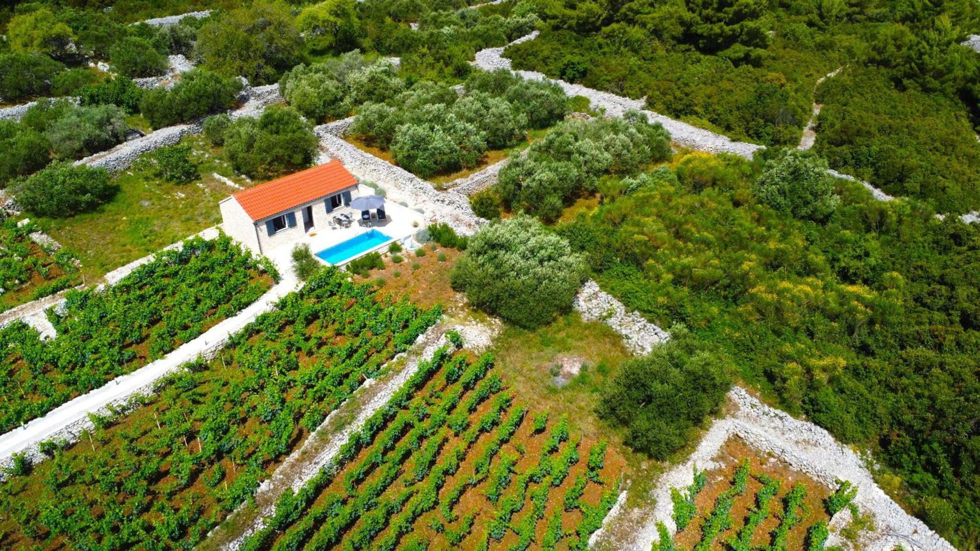 Вілла Stone House In Vineyard Рачище Екстер'єр фото